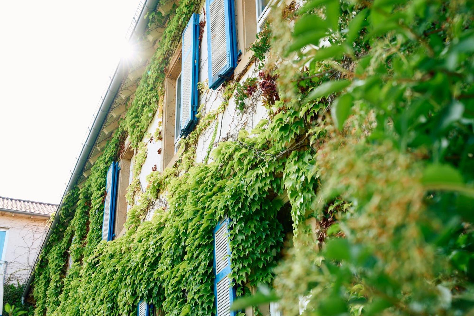 Hofgut Wissberg - Das Weinberghotel Sankt Johann  Exterior foto